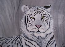 Tiger - Lady  by Sieglinde Talke
