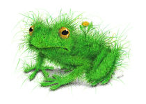 Grasfrosch - Grass Frog von Stefan Kahlhammer