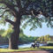 Painting-southampton-riverside-park-oak-tree