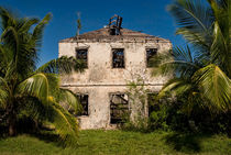 Ruins of Deveaux Plantation, Cat Island, Bahamas by Shane Pinder