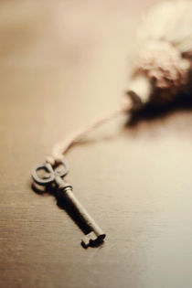 The Key...  by Trish Mistric