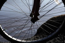 Bicycle Wheel  by Aidan Moran