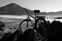 Bicycle At The Beech.  by Aidan Moran