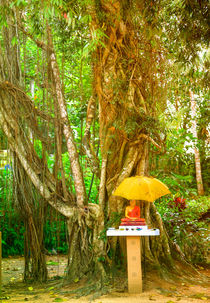 Ein Buddha Schrein unter einem Bothi Baum von Gina Koch