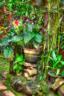 Tropische Gartenwildnis by Gina Koch
