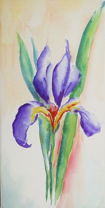 Iris by Theodor Fischer