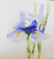 Iris by Theodor Fischer