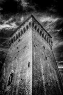 Castle in San Felice sul Panaro by Traven Milovich