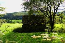 old stone cottage in summertime by mateart