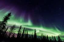 Aurora during geomagnetic storm in Yellowknife, Canada von Vincent Demers