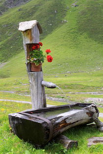 Brunnen auf einer Bergalm in Südtirol (02) by Karina Baumgart