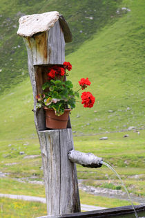 Brunnen auf einer Bergalm in Südtirol by Karina Baumgart