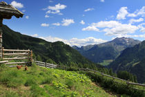 Südtiroler Bergalm von Karina Baumgart