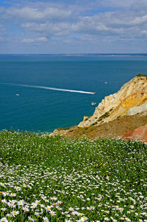 Alum Bay from West High Down by Rod Johnson