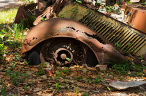 Rusted Remains II by Louise Heusinkveld