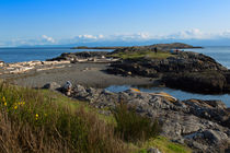 Trial Island and the Strait of Juan de Fuca from Beach Road by Louise Heusinkveld