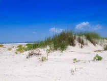 Sand Dune and Sea Oats by Louise Heusinkveld