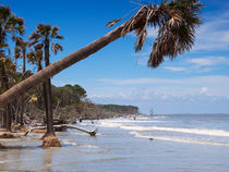 The beach at Hunting Island State Park, South Carolina by Louise Heusinkveld