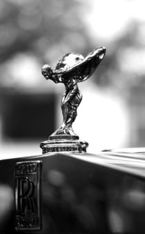 Spirit of Ecstasy by Andreas Birkholz