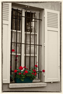 Window box in Paris von Sheila Smart