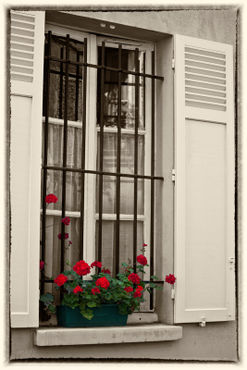 Flowers-in-paris-window