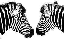 Two zebras von Sheila Smart