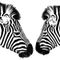 Zebras-rb