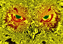 Hold the owls gaze von Leopold Brix