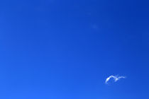 Blue Sky von Jens Uhlenbusch