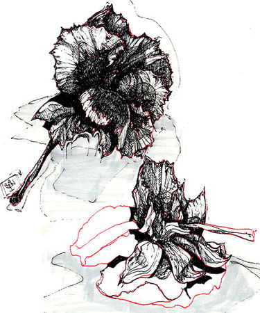 Black-roses