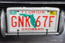 USA-Autokennzeichen Florida by shark24