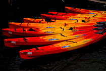 Kayaks by Sheila Smart