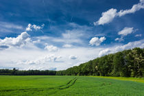 Grün und blau - frische sommerliche Landschaft von Matthias Hauser