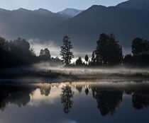 Misty morning at Lake Matheson, South Island, New Zealand by Sheila Smart