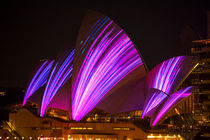 Sydney Opera House during Vivid Festival von Sheila Smart
