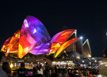 Sydney Opera House during Vivid Festival by Sheila Smart