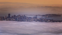 Above San Francisco von Toby Harriman