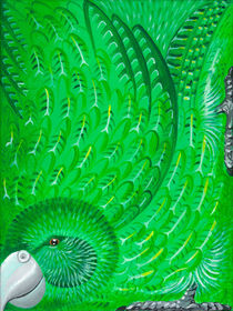 New Zealand Kakapo by Carl van Wijk