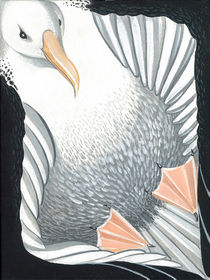 New Zealand Royal Albatross (Toroa) by Carl van Wijk