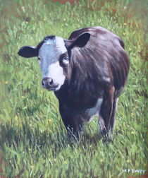 Cow in grass by Martin  Davey