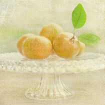 Organic Mandarins von Linde Townsend