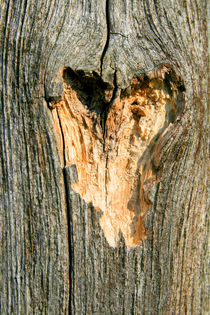 Wooden Heart von Heidrun Lutz
