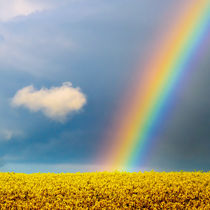 Regenbogen by Jake Playmo