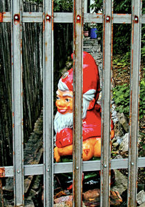 Dwarf in Jail by ekk lory