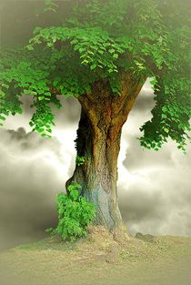 'Lonely Tree' von CHRISTINE LAKE