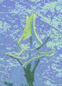 Wasserpflanze by lisa-glueck