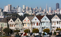 painted ladies and the big city by meleah