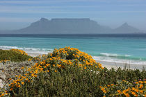 southafrica ... table mountain by meleah