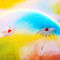 Regenbogen-aquarell