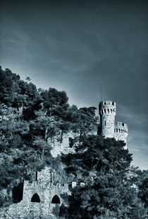 The castle by labela